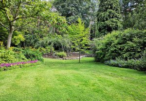 Optimiser l'expérience du jardin à Sainte-Mondane