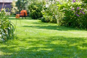 travaux jardin et paysage Sainte-Mondane